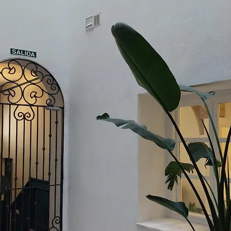 El 2 De Flamenco 2ºa * Cadiz