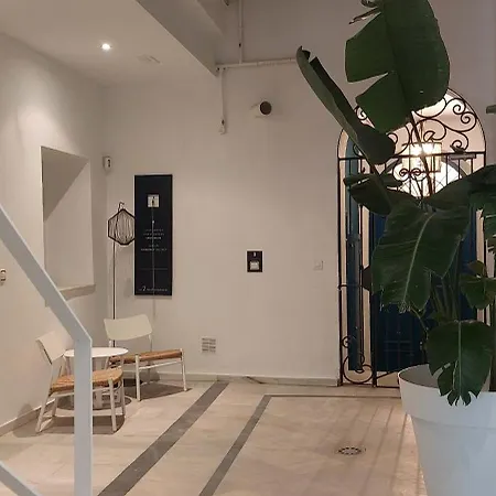 El 2 De Flamenco 2ºa Cadiz