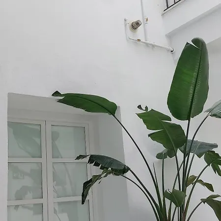 El 2 De Flamenco 2ºa Apartment *