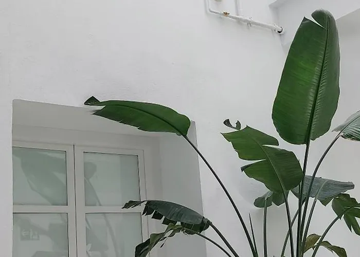 El 2 De Flamenco 2ºa Διαμέρισμα *