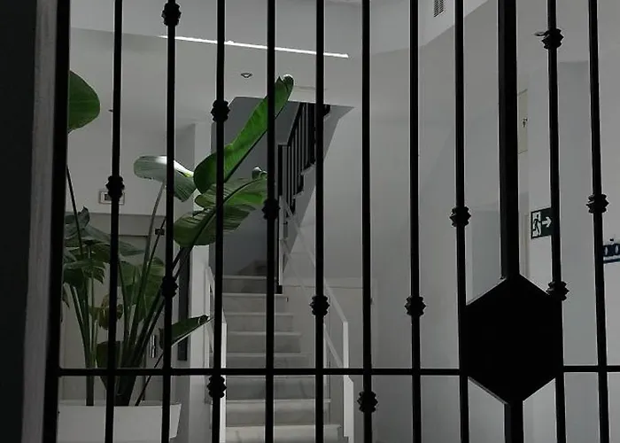 公寓 El 2 De Flamenco 2ºa